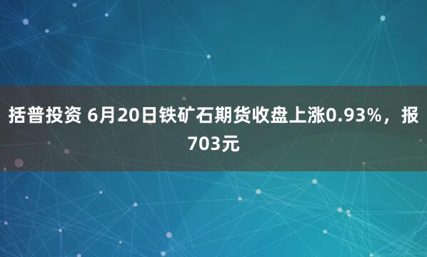 括普投资 6月20日铁矿石期货收盘上涨0.93%，报703元