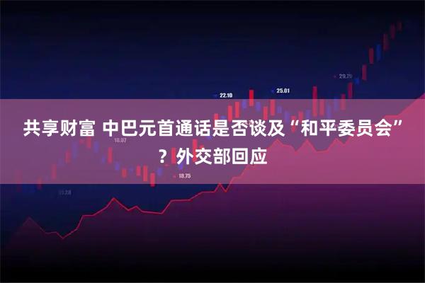 共享财富 中巴元首通话是否谈及“和平委员会”？外交部回应