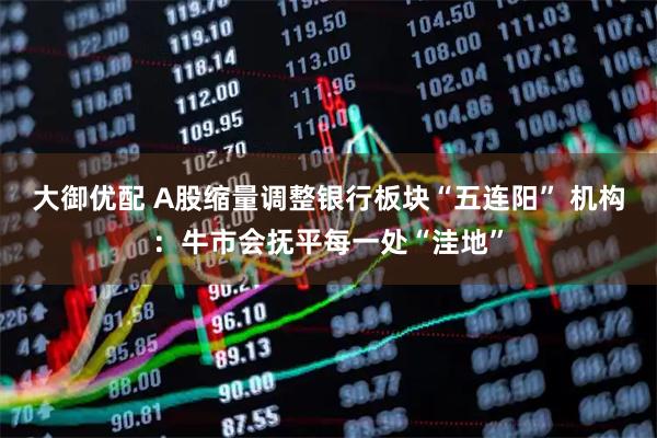 大御优配 A股缩量调整银行板块“五连阳” 机构：牛市会抚平每一处“洼地”